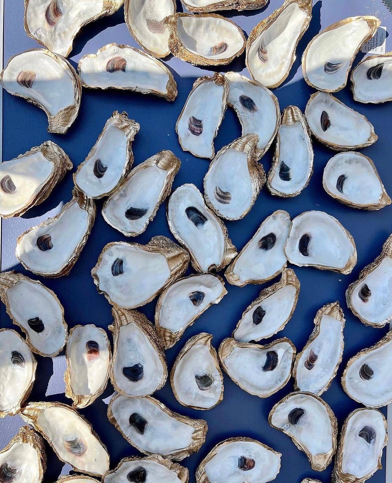 Large Oyster Ring Dish