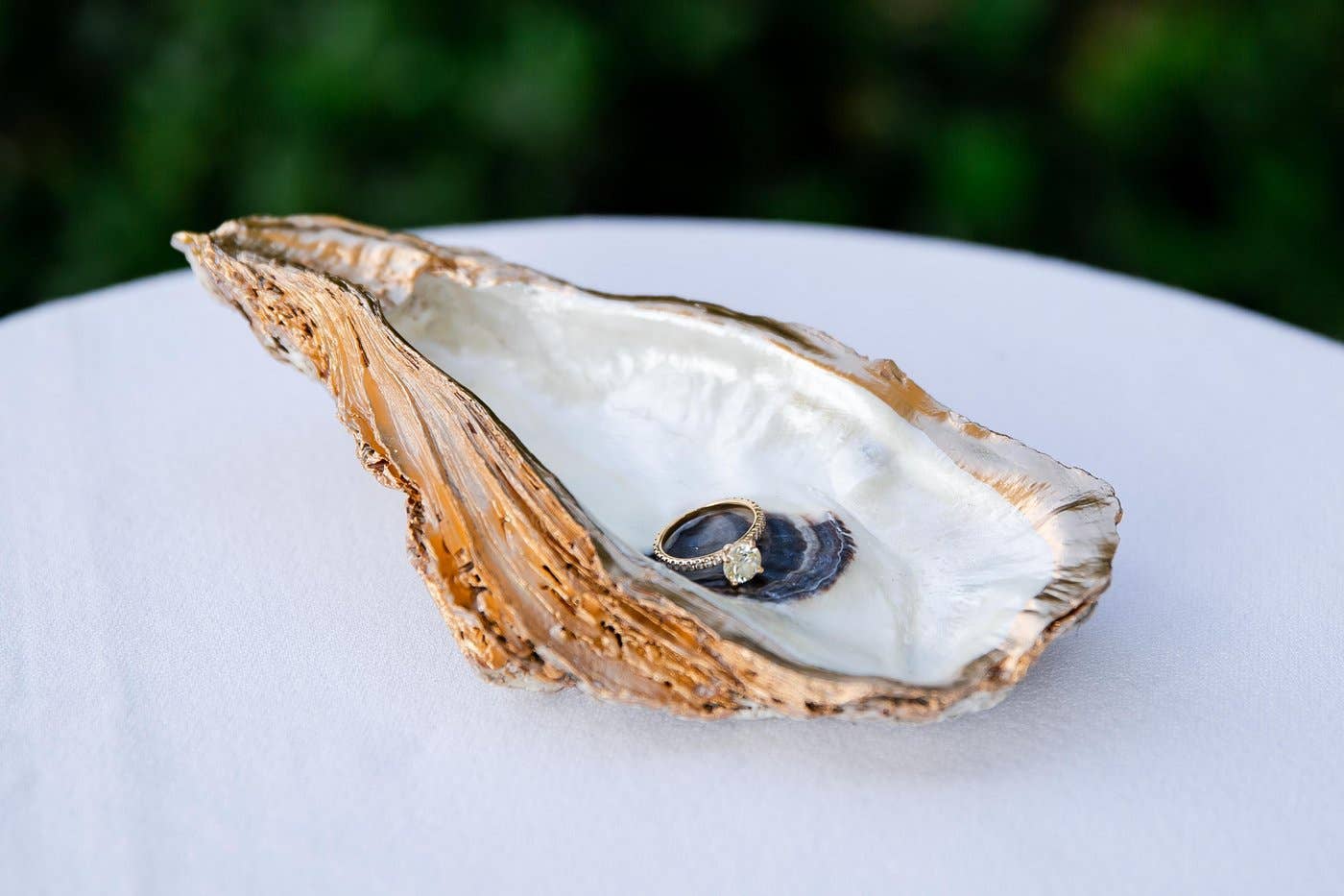Large Oyster Ring Dish